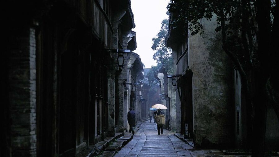 Delve into Wuzhen Water Town: Private Tour from Shanghai - A local meal, with room for regional flavor
