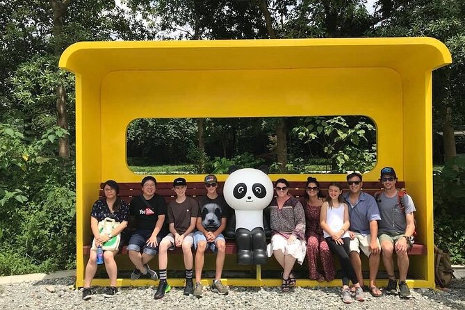 Dujiangyan irrigation+Mt. Qingcheng or Panda Park Day Tour - Dujiangyan Panda Park: a quieter panda stop