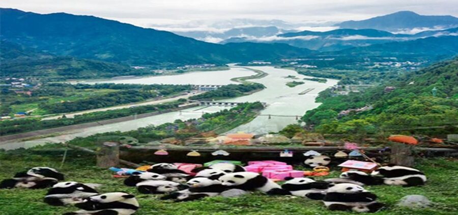 Dujiangyan panda base and irrigation system park day tour - Who will enjoy this day most