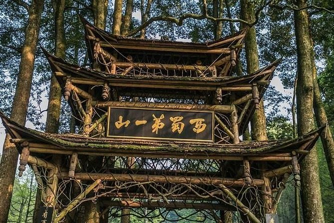 Dujiangyan Panda Base and Mount Qingcheng - Lunch, tickets, and the real price