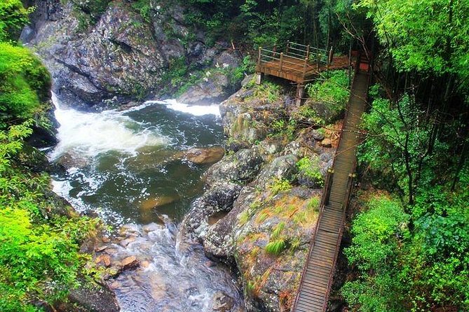 Dujiangyan Panda Base and Mount Qingcheng - Who will get the most from this day?