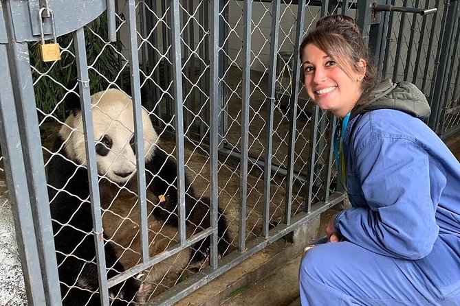 Dujiangyan Panda Volunteering Experience with Lunch - Why Dujiangyan Feels Different From a Quick Panda Visit