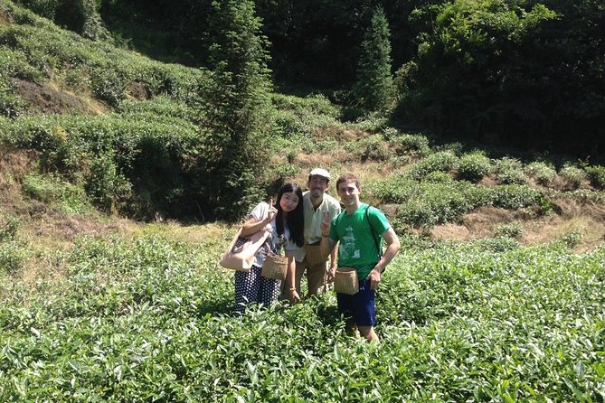Experience Chengdu: Private Tea-Making Day Tour of Mengdingshan Tea Plantation - Why Mengdingshan is worth the long ride from Chengdu