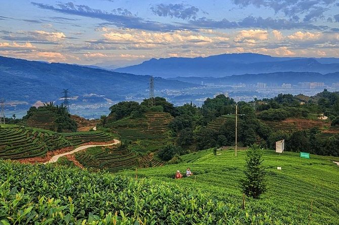 Flexible Hangzhou Private Day Tour with Lunch - Hefang Street for old Hangzhou atmosphere