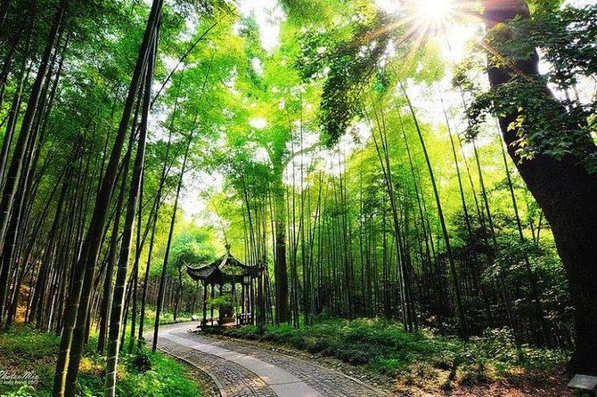 Flexible Hangzhou Private Day Tour with Lunch - Timing, comfort, and practical details