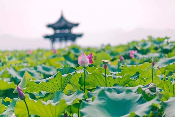 Flexible Hangzhou Private Tour from Shanghai by Bullet Train - West Lake: Hangzhou’s calm center