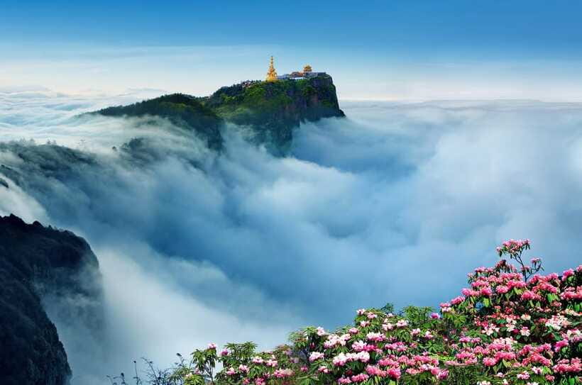 From Chengdu: Mount Emei Day Trip with Golden Summit Visit - Meeting the 48-meter Golden Buddha