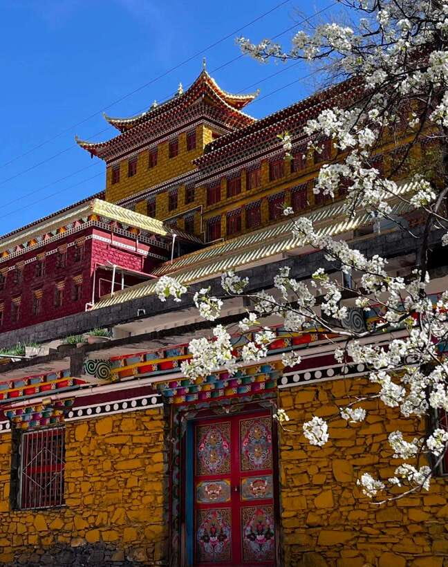 From Chengdu: Tibetan Village Live as a Tibetan Day Tour - Paper-cutting, Thangka painting, and embroidery