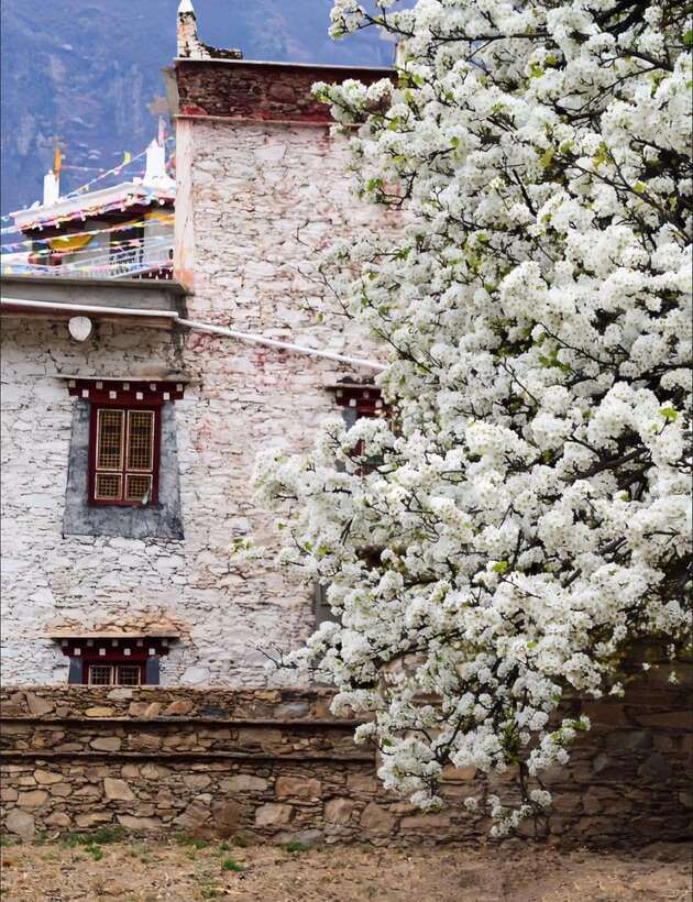 From Chengdu: Tibetan Village Live as a Tibetan Day Tour - Yak hotpot, Guozhuang dance, and the bonfire