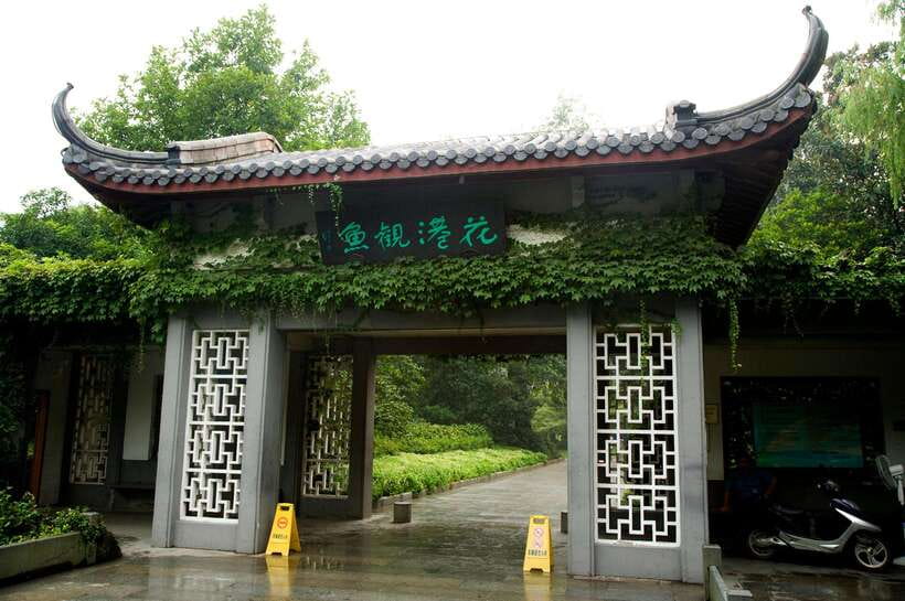 From Shanghai: Hangzhou Private Day Trip by Bullet Train - Key points to know before you book