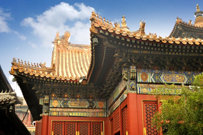 Full-Day Beijing City Tour: Hutongs, Lama Temple and Panda House - Lama Temple and the giant wooden Buddha