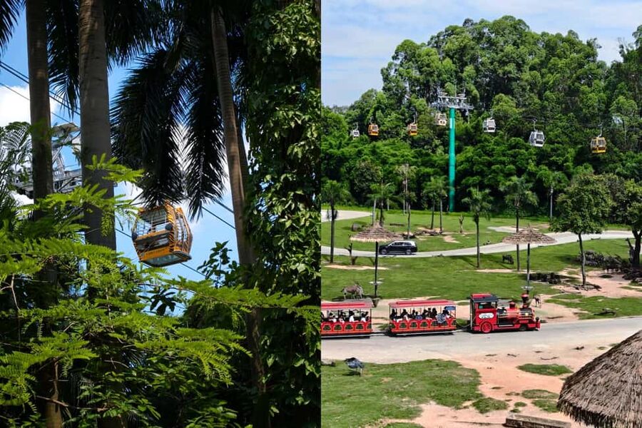 Guangzhou Chimelong: Safari Park/Paradise（Optional Day Tour） - Who should choose each park?