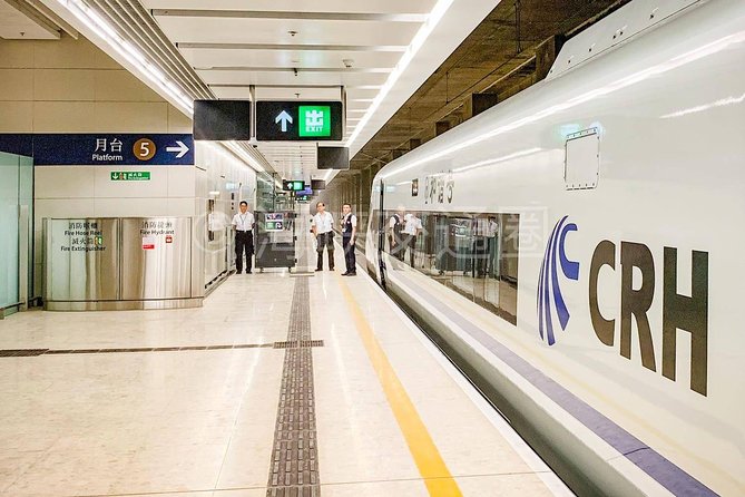 Guangzhou City Tour for Travellers from Hong Kong by Bullet Train - From the cathedral’s Stone House to Shamian Island