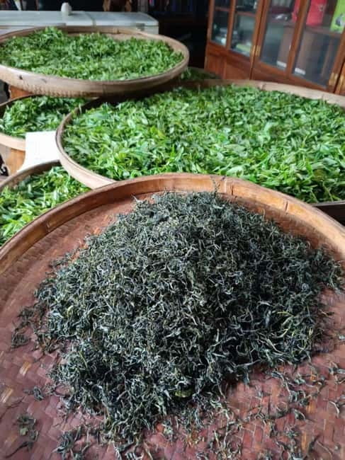 Guilin: City Tour with Elephant Hill & Ming Tea Tasting - Key points at a glance