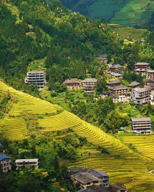 Guilin Longji: Rice Terrace with Oil-Tea Demo & Zhuang Lunch - Making Longji oil tea from scratch