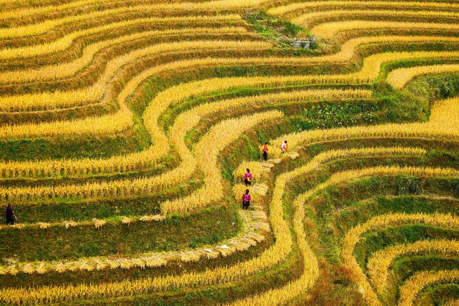 Guilin: Longji Rice Terraces and Villages Private Day Tour - One hour in a Zhuang ethnic village