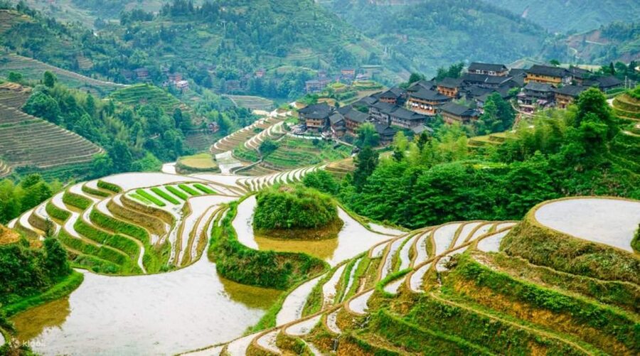 Guilin: Longji Rice Terraces& Long Hair Village Private Tour - What the private format changes