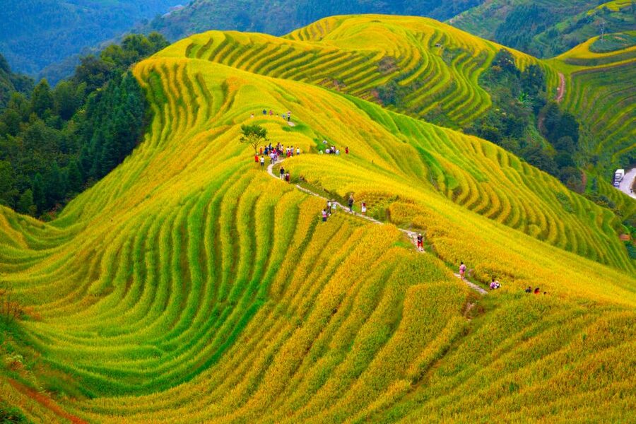Guilin Longji Terraces Private Day Tour - Huangluo village and the Yao Long Hair Show