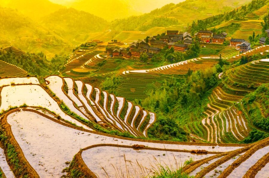 Guilin Longji Terraces Private Day Tour - A realistic day from Guilin to Longji