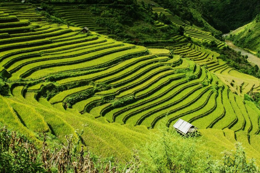 Guilin Longji Terraces Private Day Tour - The 8am pickup and two-hour mountain drive