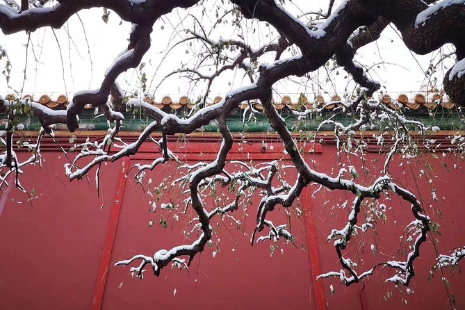 Half Day Beijing Group Tour to Tiananmen Square and Forbidden City - Why this half-day route works in Beijing