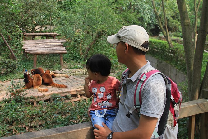 Half-Day Chengdu Panda Research Base Private Tour - An 8:00am start gives you the best chance
