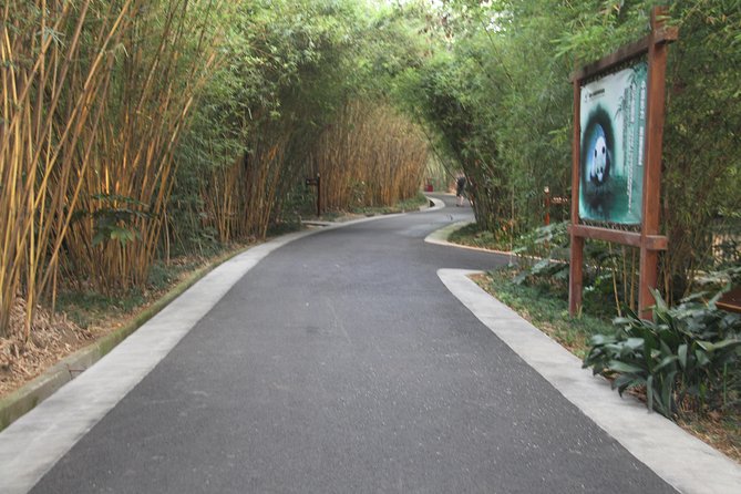 Half-Day Chengdu Panda Research Base Private Tour - Three hours among giant pandas