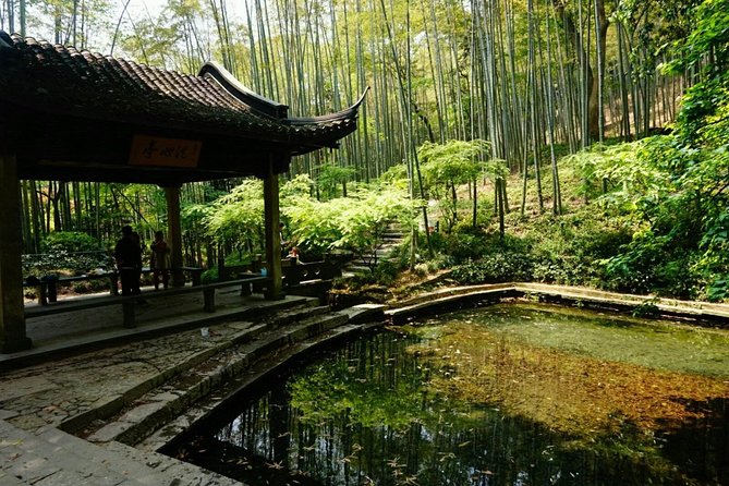 Half-Day Hangzhou Yunxi Bamboo Forest and Tea Plantation Experience - Key points before you book