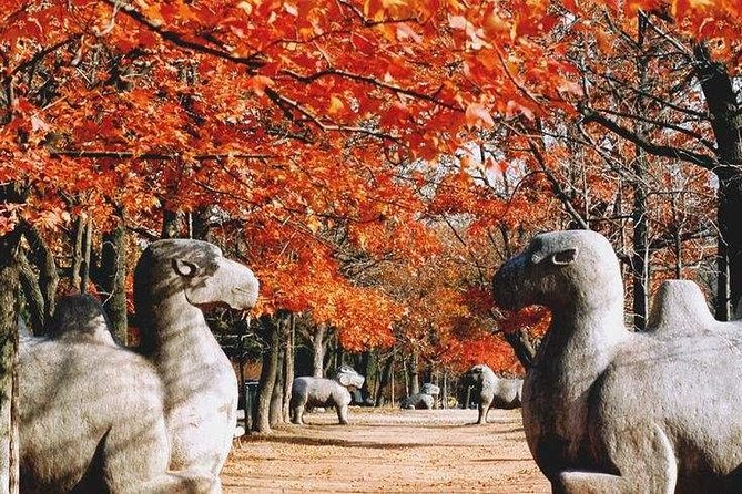 Half-Day Private Customized Nanjing City Tour - Zhonghua Gate and the old city defenses
