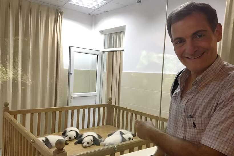 Half day small group tour to Chengdu Panda Breeding Center - The nursery possibility in summer and fall