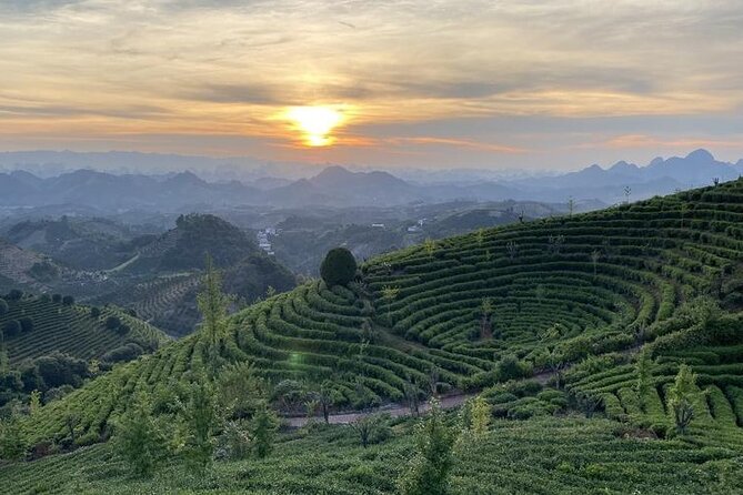 Half-day Tour: Largest Tea Plantation & Amazing Xianggong Hill - Starting from West Street in Yangshuo