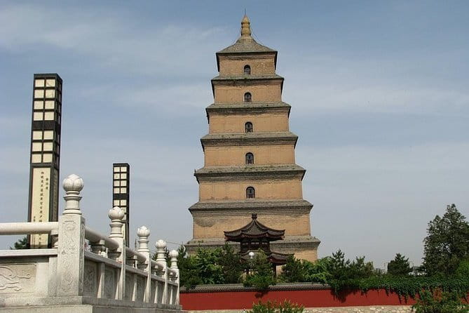 Half Day Tour to Xi'an Wild Panda Breeding and Protecting Center - Louguantai adds Taoist history