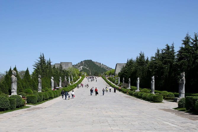 Half Day Tour to Xi'an Wild Panda Breeding and Protecting Center - What the $120 price really buys