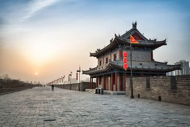 Half Day Tour to Xi'an Wild Panda Breeding and Protecting Center - Guide quality can shape the day