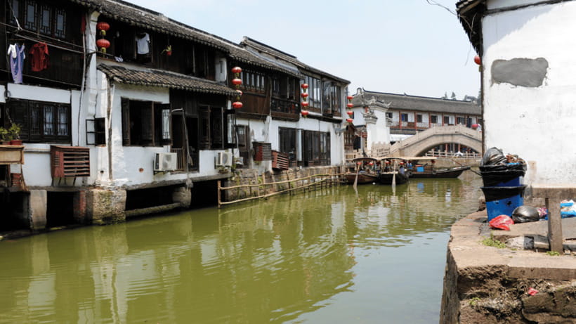 Half-Day Zhujiajiao Water Town Wonders Small Group Tour - Old Street, market stalls, and local food
