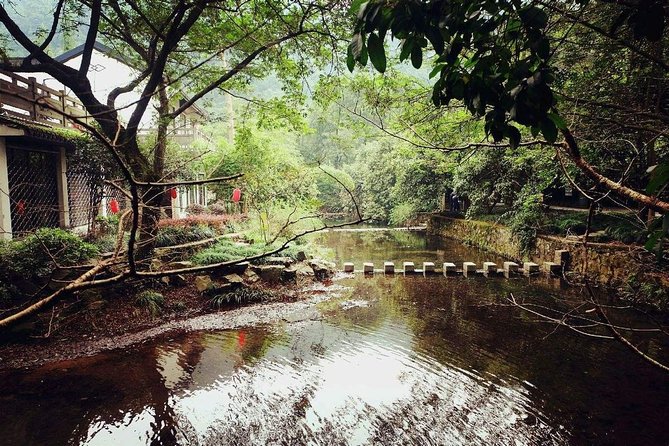 Hangzhou Jiuxi and Hupao Spring Hiking Day Trip from Shanghai by Bullet Train - What the private guide changes