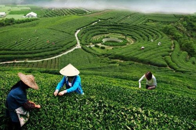 Hangzhou Private Customized Day Trip from Shanghai by Bullet Train - What the $275 price is really buying