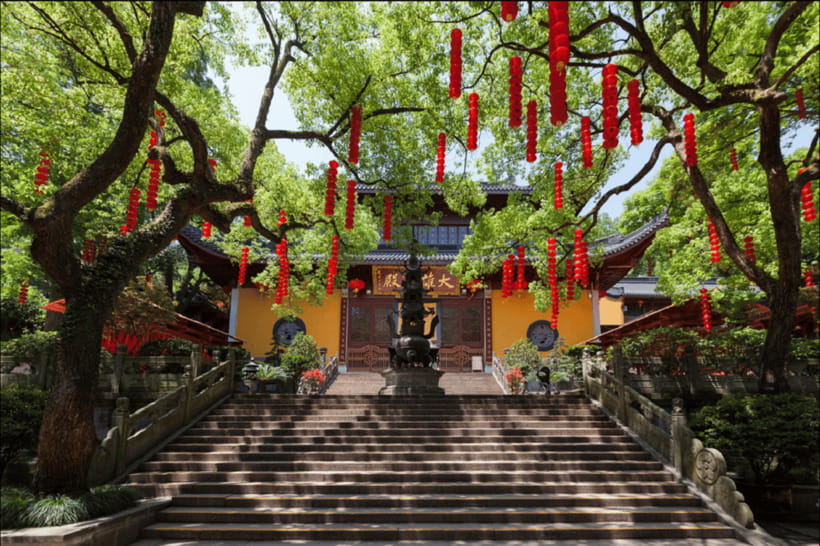 Hangzhou Private Day Trip by Bullet Train from Shanghai - Longjing village and the story behind the tea