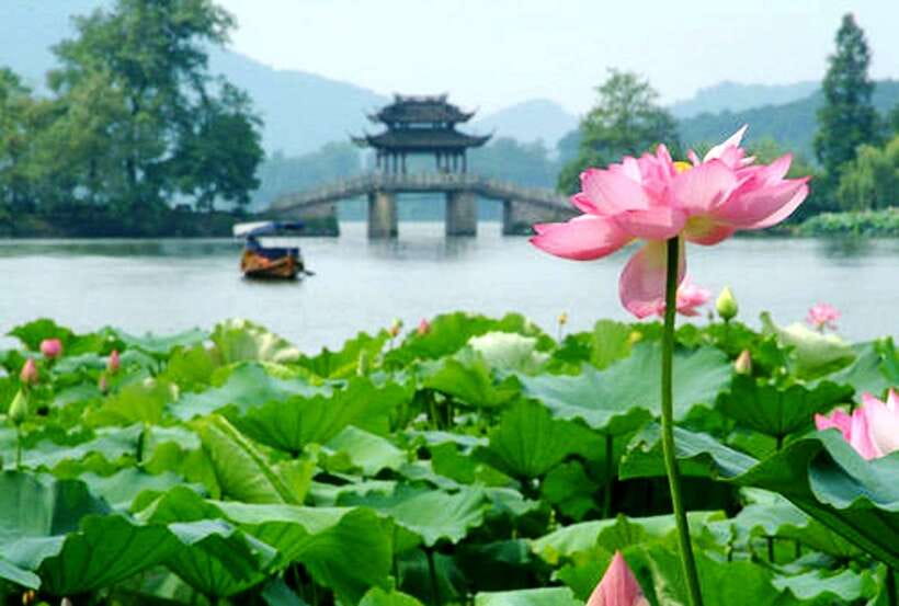 Hangzhou Private One Day Trip from Shanghai by Bullet Train - Hefang Street finishes with food and shopping