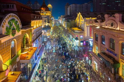 Harbin Ice and Snow Fairyland Private Day Tour