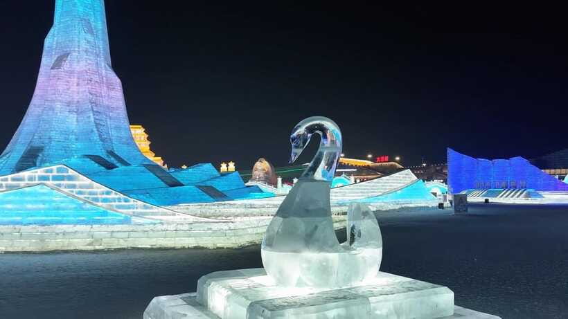 Harbin Ice and Snow Fairyland Private Day Tour - Seeing Ice and Snow World in daylight and after dark