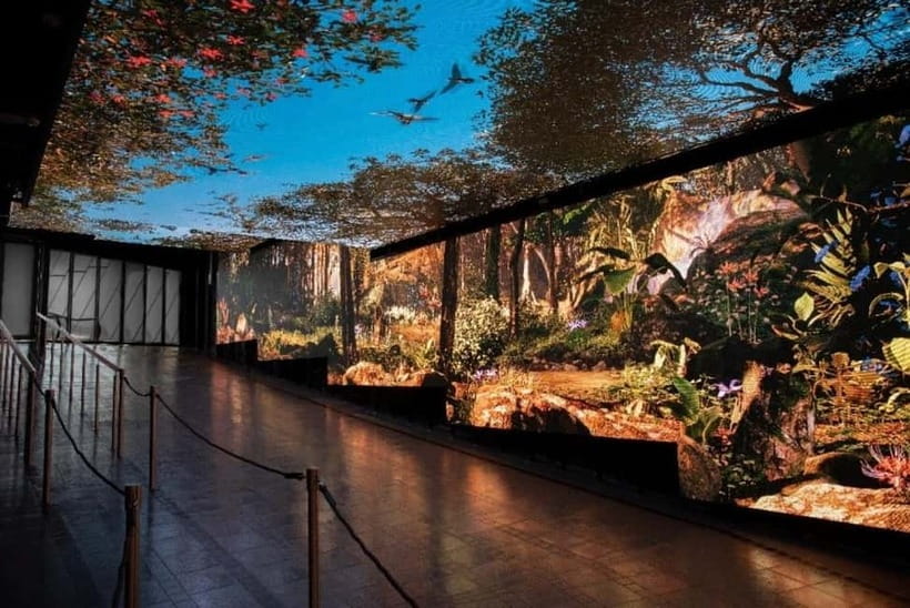 Hong Kong Day Tour: Priority Peak Tram, City Walk & Dim Sum - FAQ