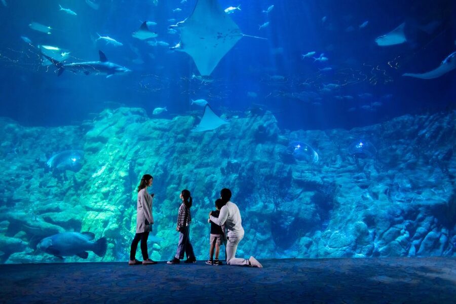 Hong Kong: Go City Explorer Pass - Choose 3 to 7 Attractions - Food choices, from Peking duck to dim sum