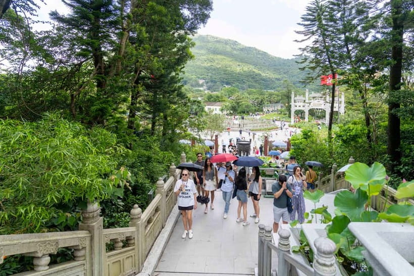 Hong Kong: Lantau VIP Priority Cable Car, Big Buddha & Tai O - Key points to know before booking
