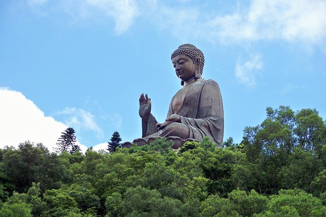 Hong Kong Layover Tour Private & Personalized with Local Guide - Eating Hong Kong food with a local recommendation