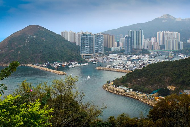 Hong Kong Like a Local: Private & Personalized Experience 2-6 hrs - Kowloon’s food, medicine, and Walled City past