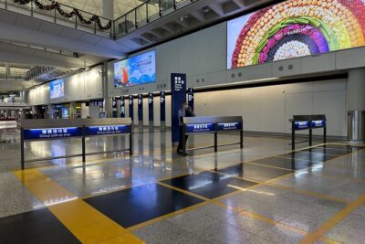 Hong Kong Private Arrival Transfer Driver Meet and Greet: Airport to Hotel