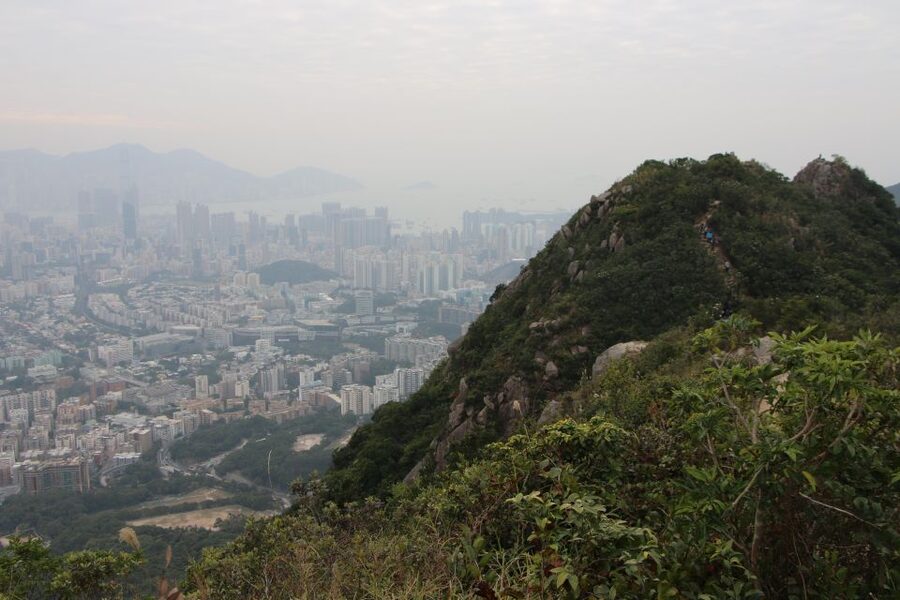 Hong Kong: Private Tour with a Local Guide - The Star Ferry and Victoria Peak: Hong Kong’s essential views