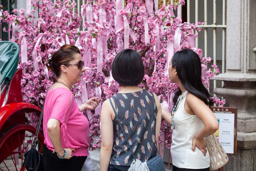 Hong Kong: Private Walking City Tour with a Local Guide - Practical booking advice