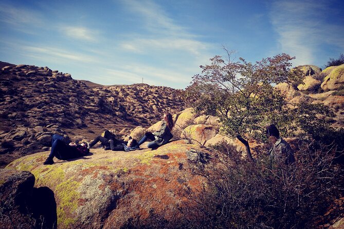 Huhhot 4D3N Inner Mongolia Grassland and desert nature tours - Day one: open country at Xilamuren Prairie